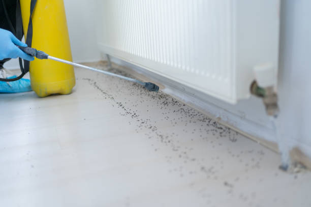 Pest Prevention Services in Fishers, IN