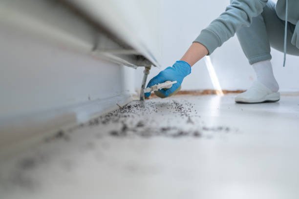 Professional Pest Control in Fishers, IN